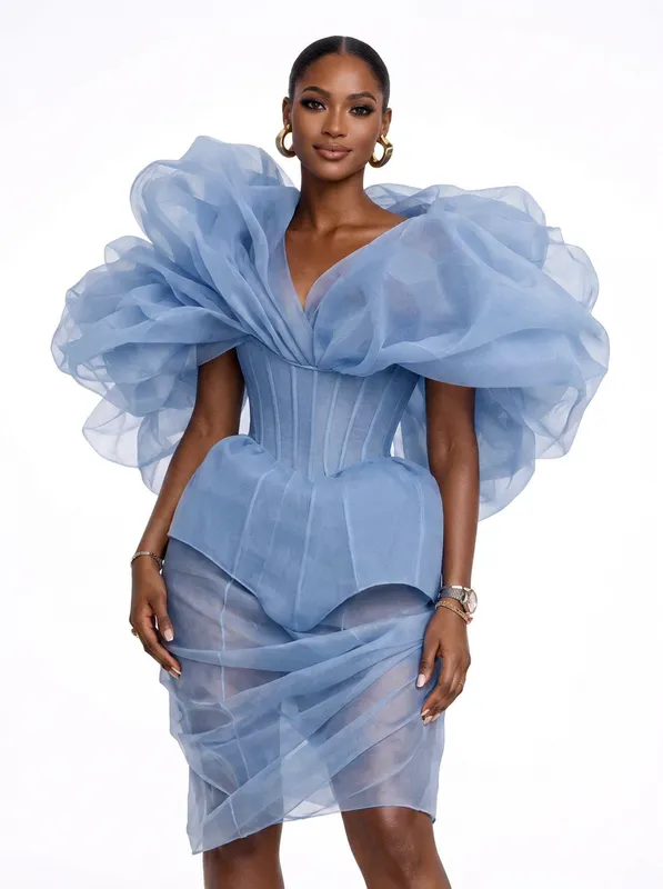 Celeste Organza Statement Dress